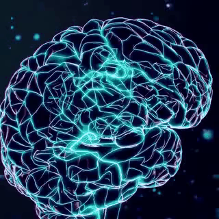 A Wide Variety of AI Solutions